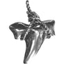 BI-COLOR SHARK TOOTH PENDANT