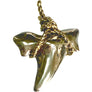 BI-COLOR SHARK TOOTH PENDANT