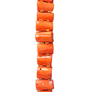 Seashell & Coral Orilla Lariat Necklace
