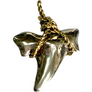 BI-COLOR SHARK TOOTH PENDANT