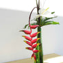 Riki-Riki Leaves Hook Earrings