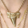MEDIUM SHARK TOOTH PENDANT NECKLACE