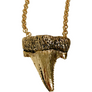 MEDIUM SHARK TOOTH PENDANT NECKLACE