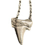 MEDIUM SHARK TOOTH PENDANT NECKLACE