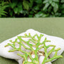 coral-nickel-ring-napkin-holder