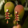 riki-riki-leaves-earrings