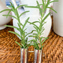 small-tubes-napkin-holder-set-of-4