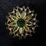 Vintage Brooches