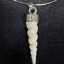 Seashell Orilla  Necklace