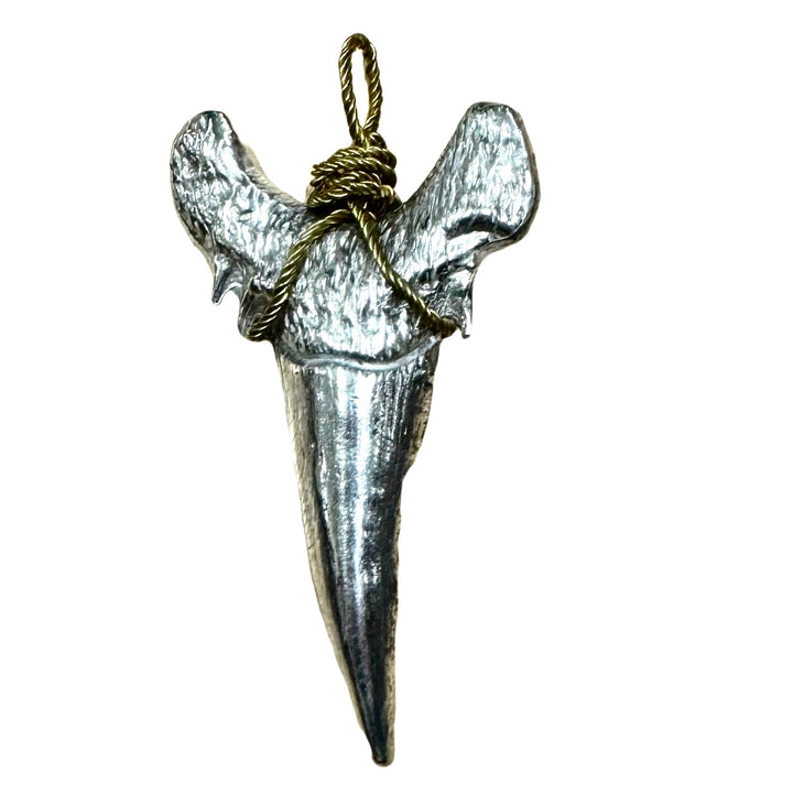 LARGE  SHARK TOOTH PENDANT